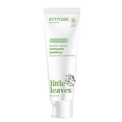 OEM Logo Fluoride Free Toothpaste Sugar Free Coconut And Mint Flavor 4.2 Oz