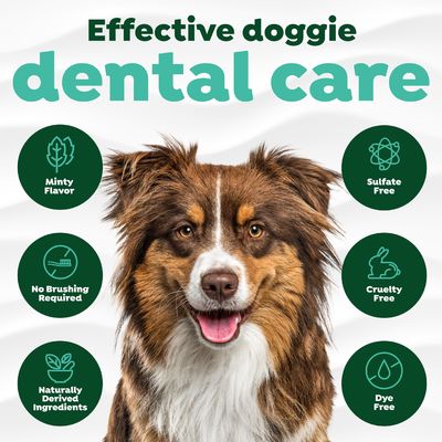 Fresh Breath Oral Care Spray For Dogs And Cats Pet Bad Breath Treatment 4 Oz