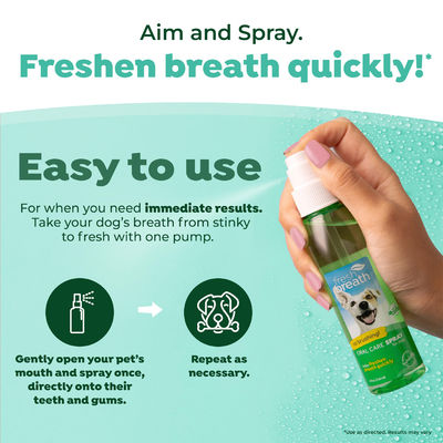 Fresh Breath Oral Care Spray For Dogs And Cats Pet Bad Breath Treatment 4 Oz