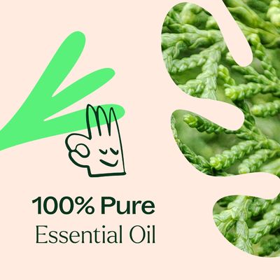 30ML Plant Deodorizing Essential Oil Blend 100% Pure Undiluted Therapeutic Grade
