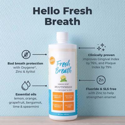 Premium Lemon Mint Fresh Breath Mouthwash Non Irritating Mouthwash 16 Oz OEM