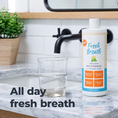 Premium Lemon Mint Fresh Breath Mouthwash Non Irritating Mouthwash 16 Oz OEM